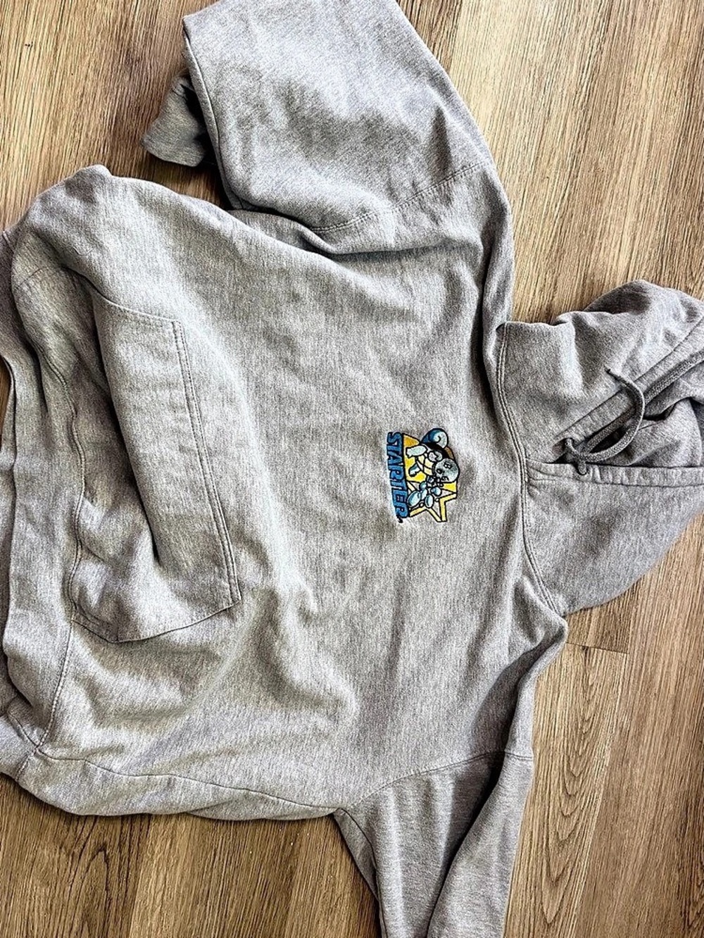 Starter Embroidered Pokémon Hoodie in Gray